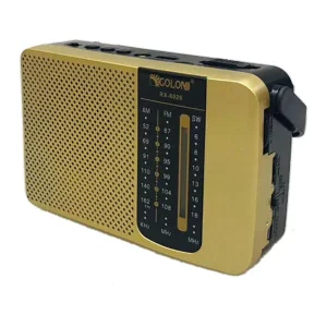 رادیو اسپیکری گولون مدل RX-6020 اصل